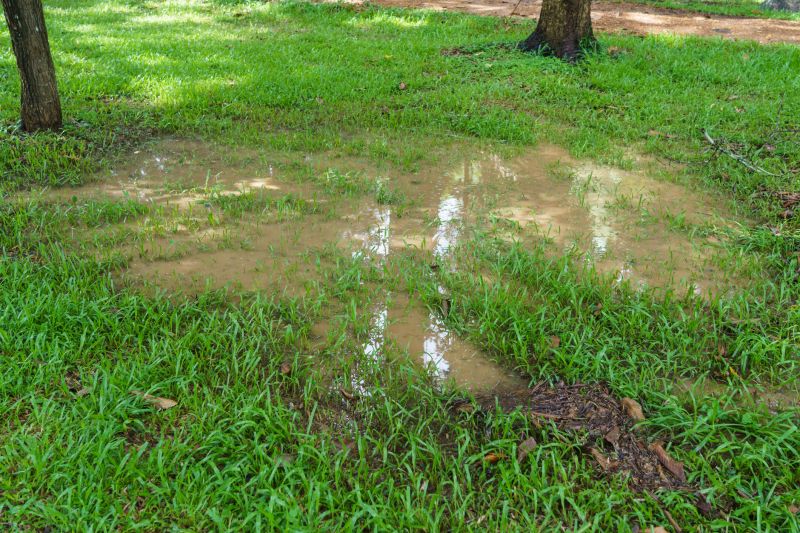 Lawn Drainage in Birmingham, AL