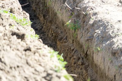 Common Pitfall to Avoid