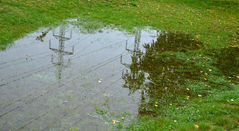 Wet Yard Drainage in Tuscaloosa, AL